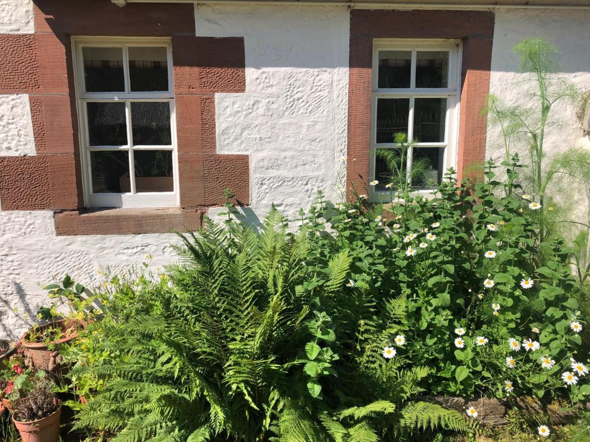 Laundry Cottage Dumfries Buitenkant foto